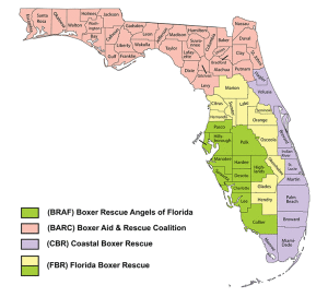 Map of Boxer Rescue Organizations in Florida - BRAF - Boxer Rescue Angels of Florida