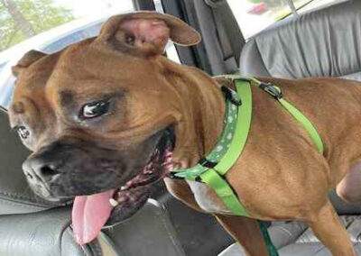 Roxy Roo
