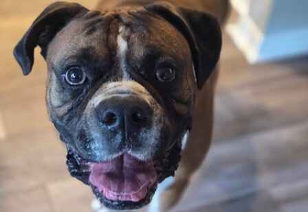 Jackson "Big Dawg"