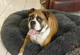 Gabby